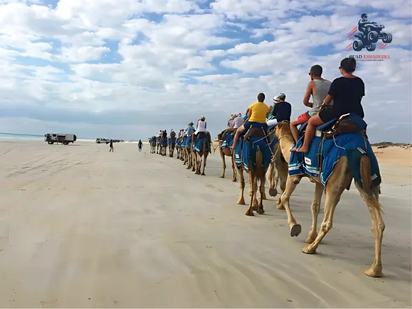 Balade chameau Essaouira