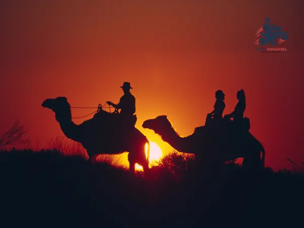 Balade dromadaire Essaouira